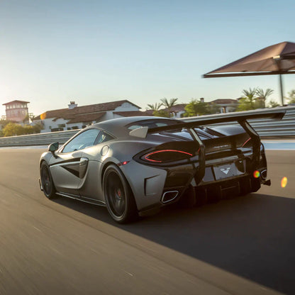 MCLAREN 570S VX AERO WING BLADE CARBON FIBER W/ CARBON FIBER UPRIGHTS