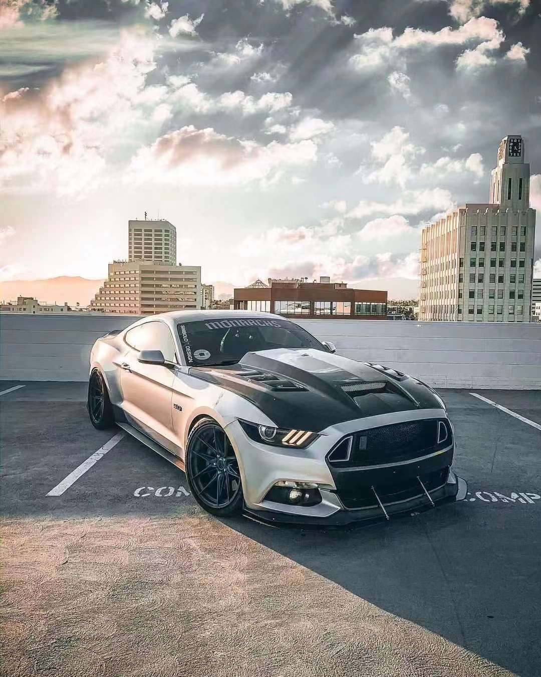 Ford Mustang TF Carbon Fiber Hood