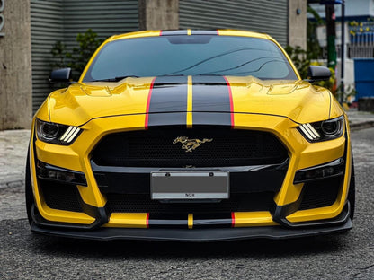 Ford Mustang 2015+ Shelby GT350 Style Full Conversion Kit