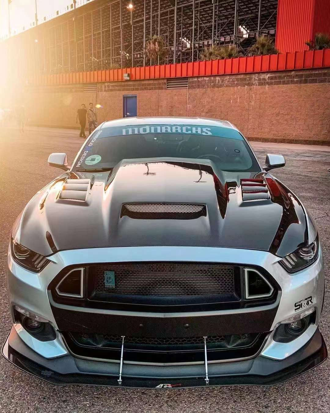 Ford Mustang TF Carbon Fiber Hood